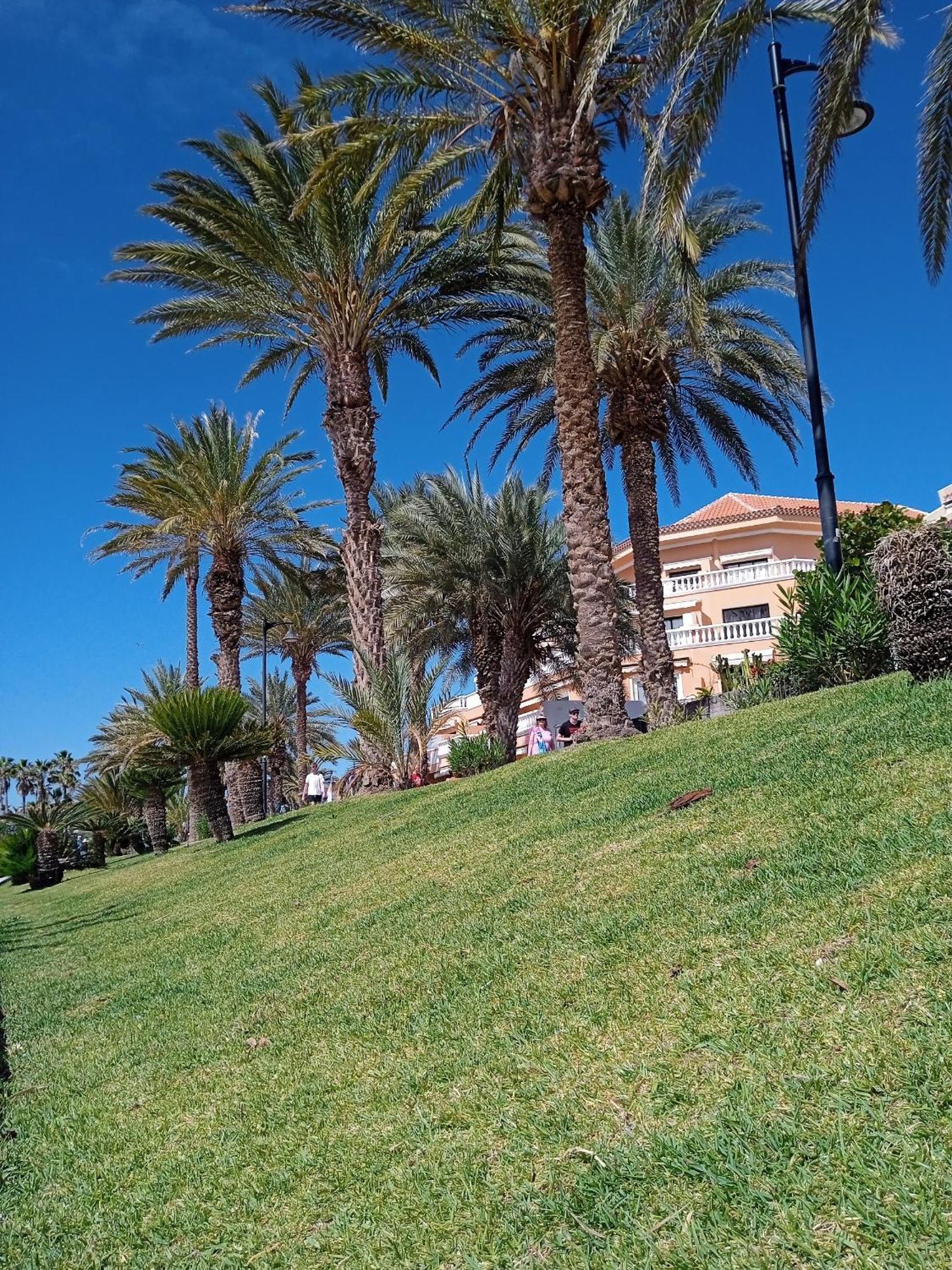 Mi dulce аpartamento con gratis Wi-Fi, con piscina en Los Cristianos Экстерьер фото